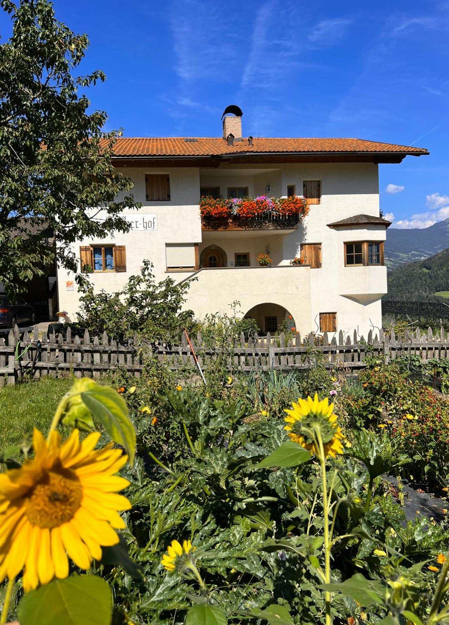 Gasserhof バルビアーノ エクステリア 写真