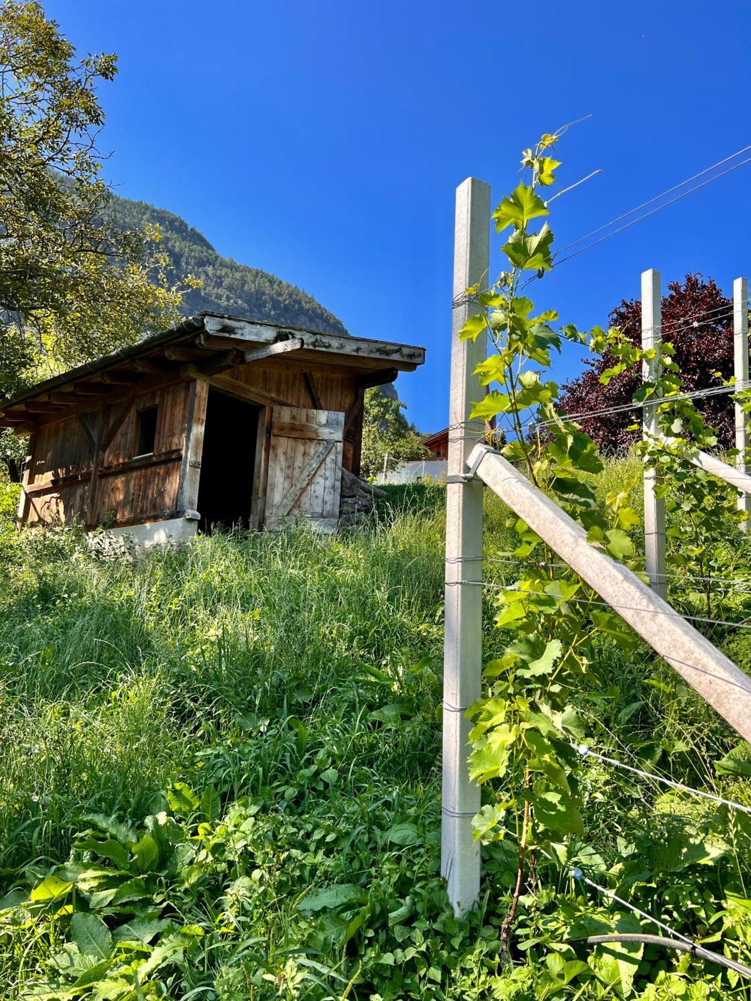 Gasserhof バルビアーノ エクステリア 写真